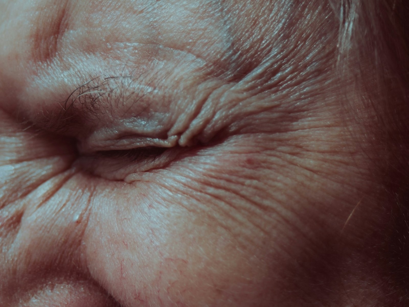 Meet Wrinkles, an app that uncovers the hidden stories of the places around you