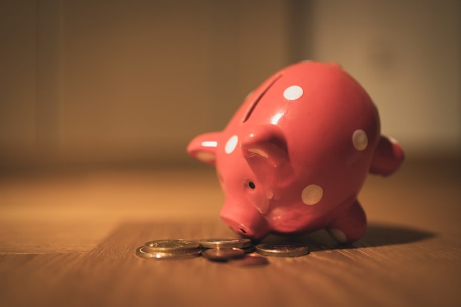 Social Security’s Elephant and Mouse: The Funding Crisis and the Unthinkable Void